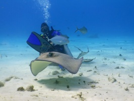 068 John at Stingray City IMG 6004